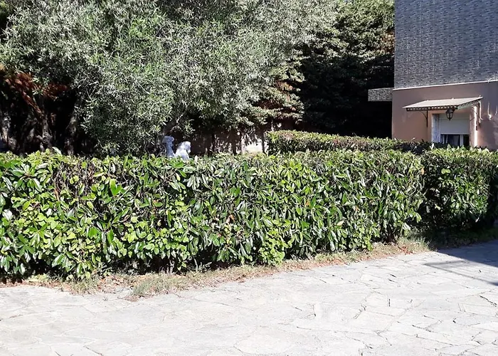 Tassos2 *