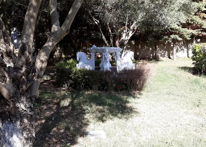 Tassos2 *